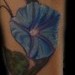 Tattoos - Blue Morning Glory Vine - 48737